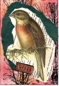 Birds Postcards